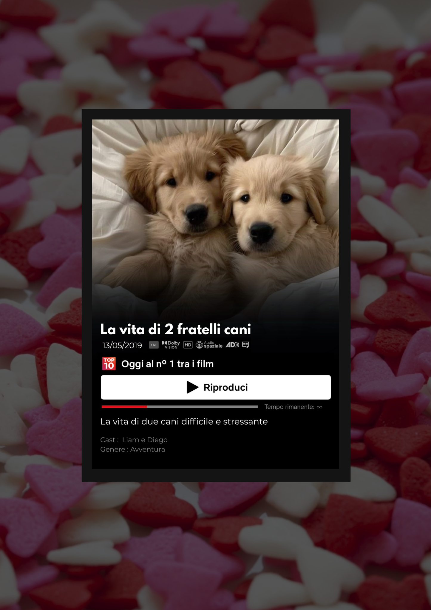 MemoryLab™ - Poster NETF**X